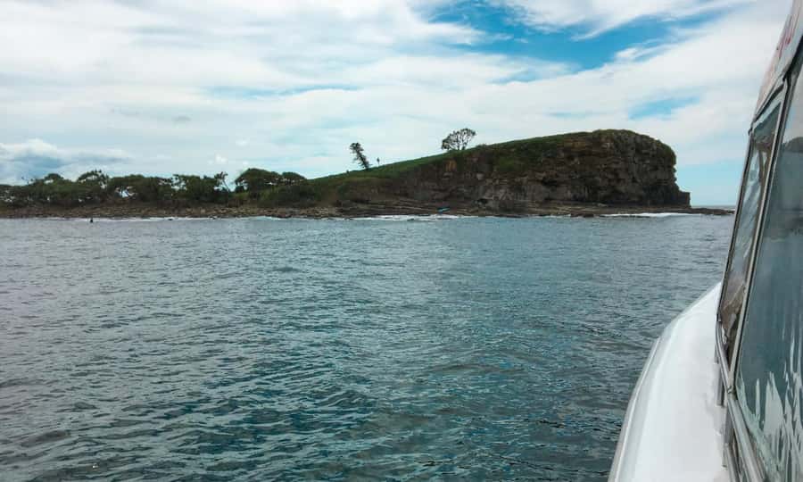 Mooloolaba: Snorkel with Turtles Mudjimba Island - What you might spot around Mudjimba (and how to increase your chances)