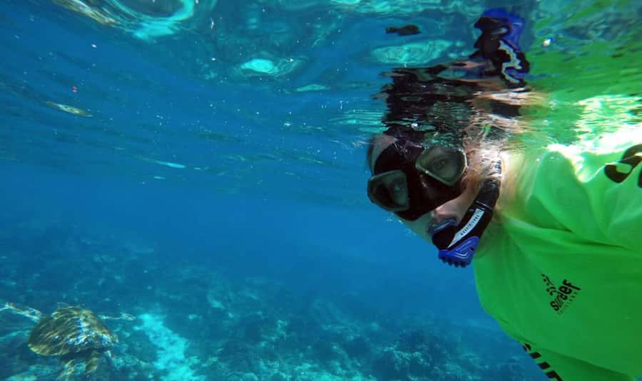 Mooloolaba: Snorkel with Turtles Mudjimba Island - Price and value: is $63 a good deal for Mudjimba?