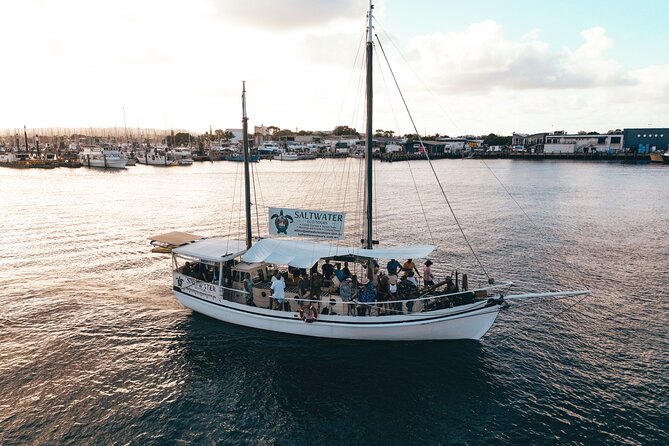 Mooloolaba Sunset Cruise with Live Music - Music by Essi: The Fun Part That Makes It Feel Special