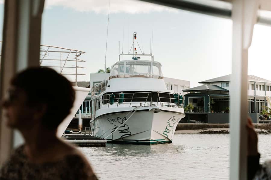 Mooloolaba: Sunshine Coast Sunset Canal Cruise - Croc One, Islands, Canals, and La Balsa Park: The Sights That Give It Shape