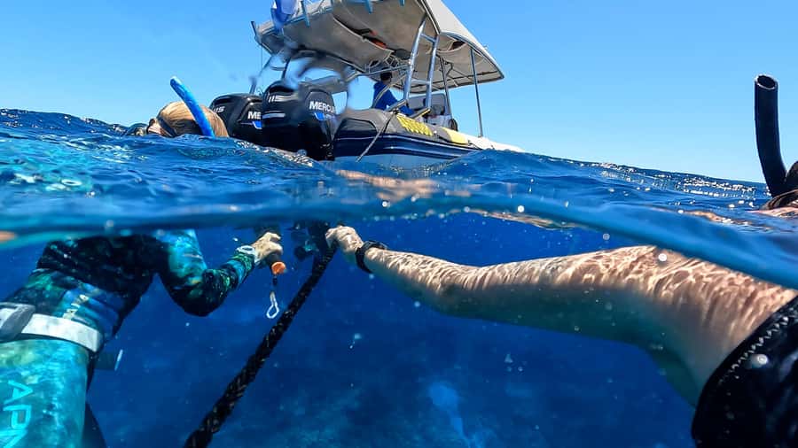 Mooloolaba: Turtle Snorkel & Swim at Mudjimba Island - From The Wharf to snorkeling time: how the two hours usually flow