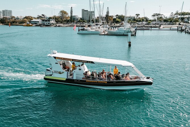 Mooloolaba Whale Watching – Small Group Tour - Whale song and coastal views, all in one 2-hour run