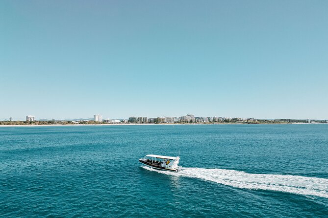 Mooloolaba Whale Watching – Small Group Tour - Stop 1: Mooloolaba Beach for a classic Sunshine Coast entry