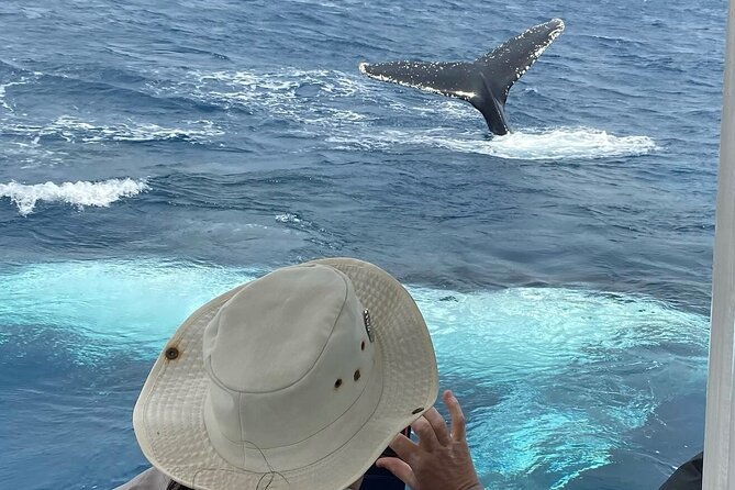 Mooloolaba Whale Watching – Small Group Tour - Price and value: what you’re really paying for