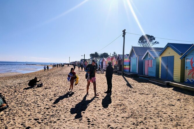 Moonlit Sanctuary and Brighton Beach Boxes Half Day Tour - Price and value: what you get for $74.59 per person