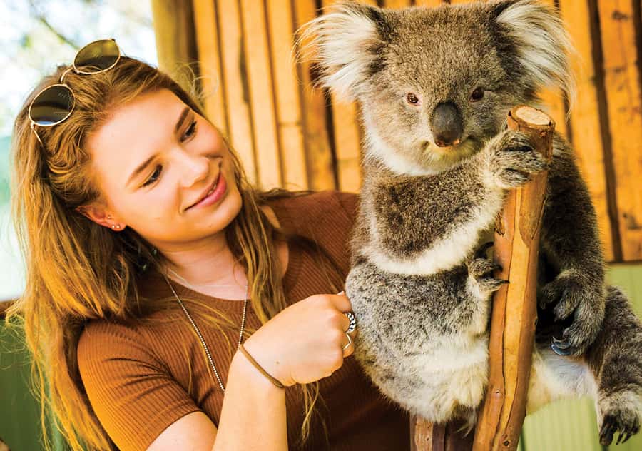 Moonlit Sanctuary Conservation Park Entry Ticket - Key things that make Moonlit Sanctuary worth your time
