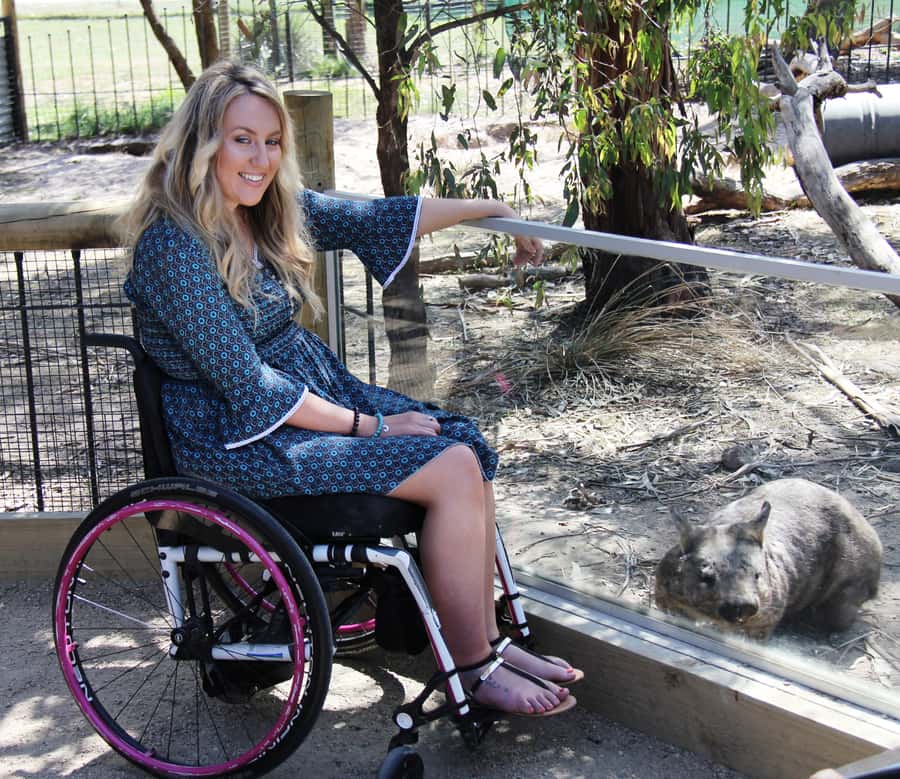 Moonlit Sanctuary Conservation Park Entry Ticket - Koalas, Tasmanian devils, dingoes, and reptiles you can spot close up
