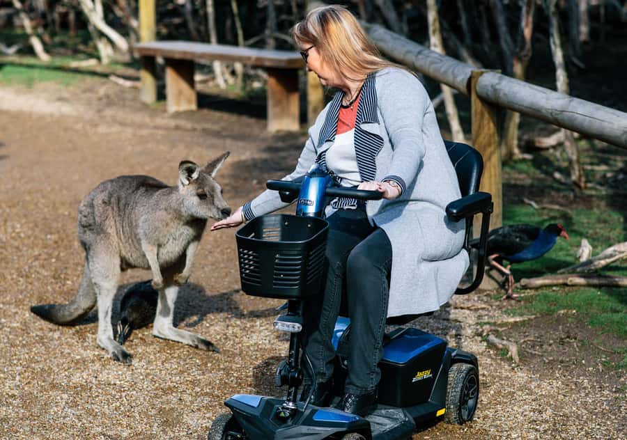 Moonlit Sanctuary Conservation Park Entry Ticket - Price and value: is $24 per person a good deal?