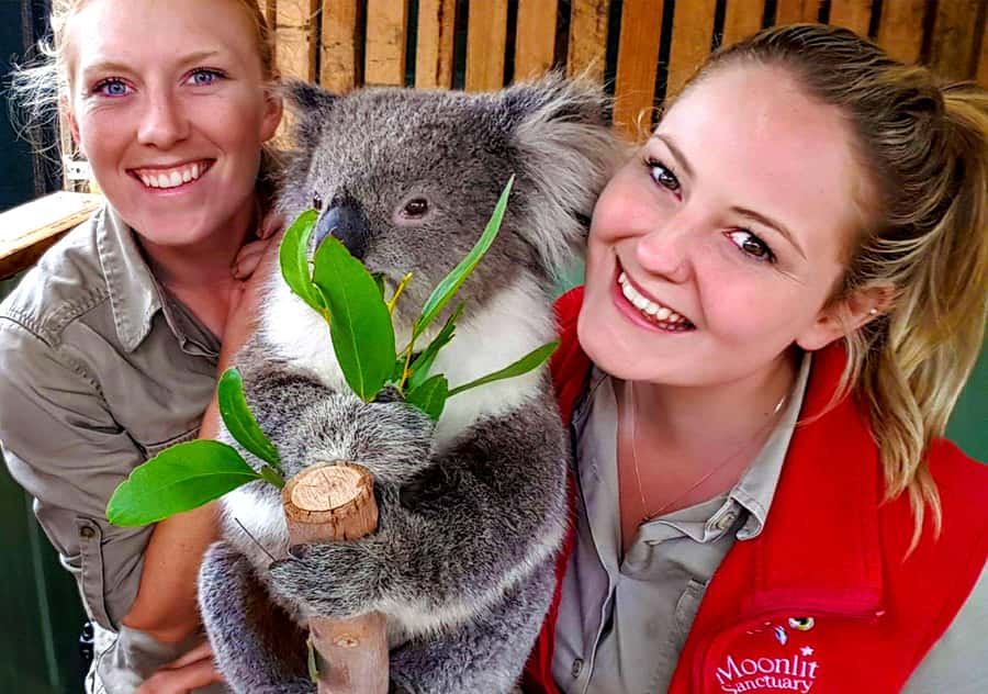 Moonlit Sanctuary Conservation Park Entry Ticket - How a full day at the park actually unfolds