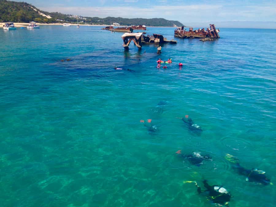 Moreton Island Day-Trip to Scuba Dive and More - Key points to know before you go