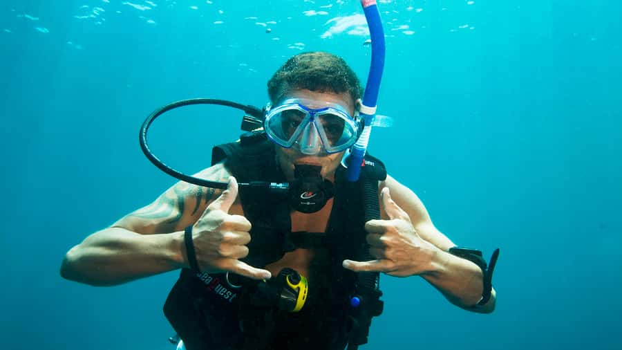 Moreton Island Day-Trip to Scuba Dive and More - Marine life you’re likely to look for (and how to spot it)