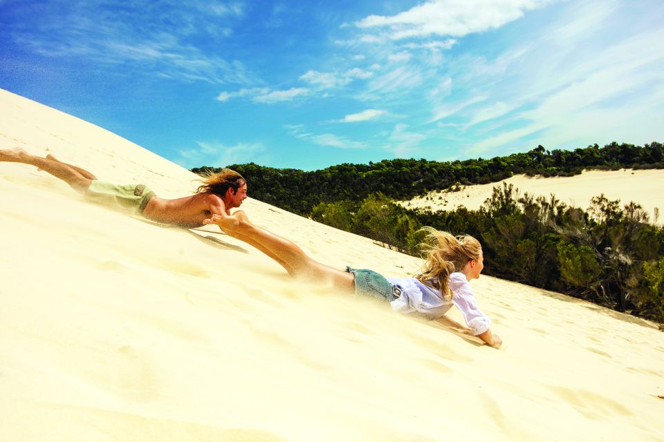 Moreton Island: Desert Safari Tour & Dolphin Viewing - Sand tobogganing up to 40 km/h: optional, but don’t treat it like a throwaway