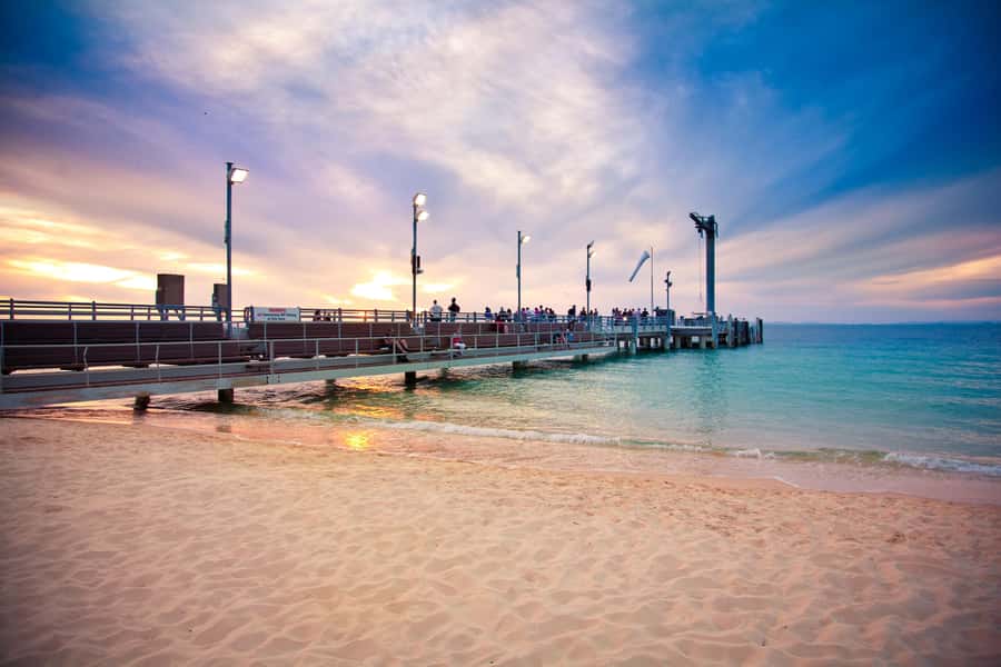 Moreton Island: Desert Safari Tour & Dolphin Viewing - Eco Ranger moments and dolphin education before the jetty feed