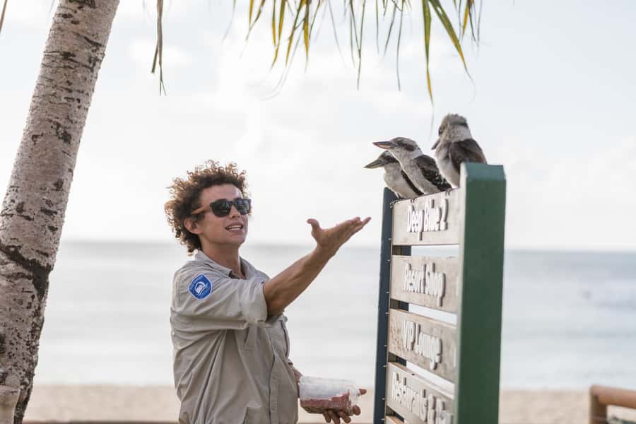 Moreton Island: Desert Safari Tour & Dolphin Viewing - Price and value: why $147 can make sense (and when it might not)