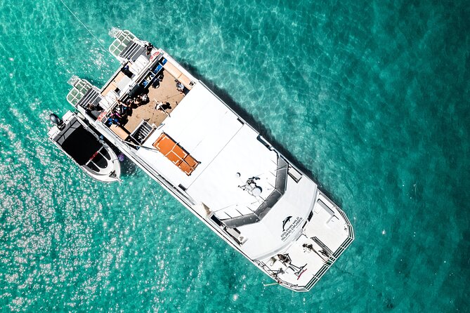 Moreton Island Eco Marine Safari Cruise and Snorkel - What you’re really paying for: $142.73 value on an 8-hour island day
