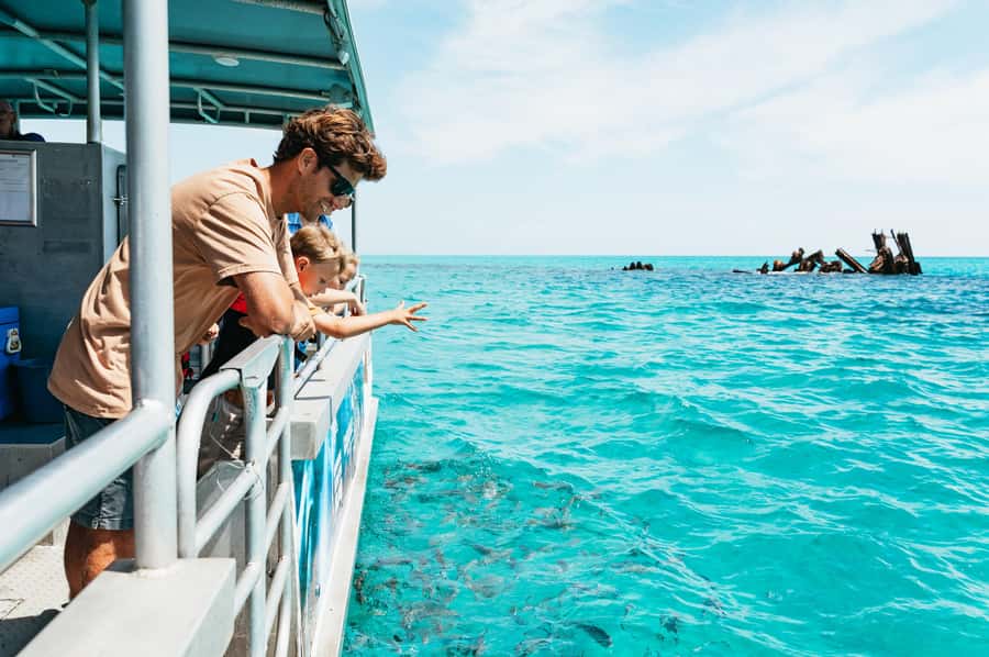Moreton Island: Marine Discovery Cruise & Dolphin Feeding - Key takeaways before you go