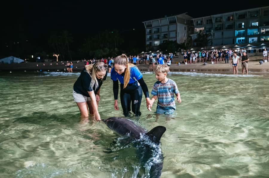 Moreton Island: Marine Discovery Cruise & Dolphin Feeding - The Tangalooma day pass: where your “in-between” hours go