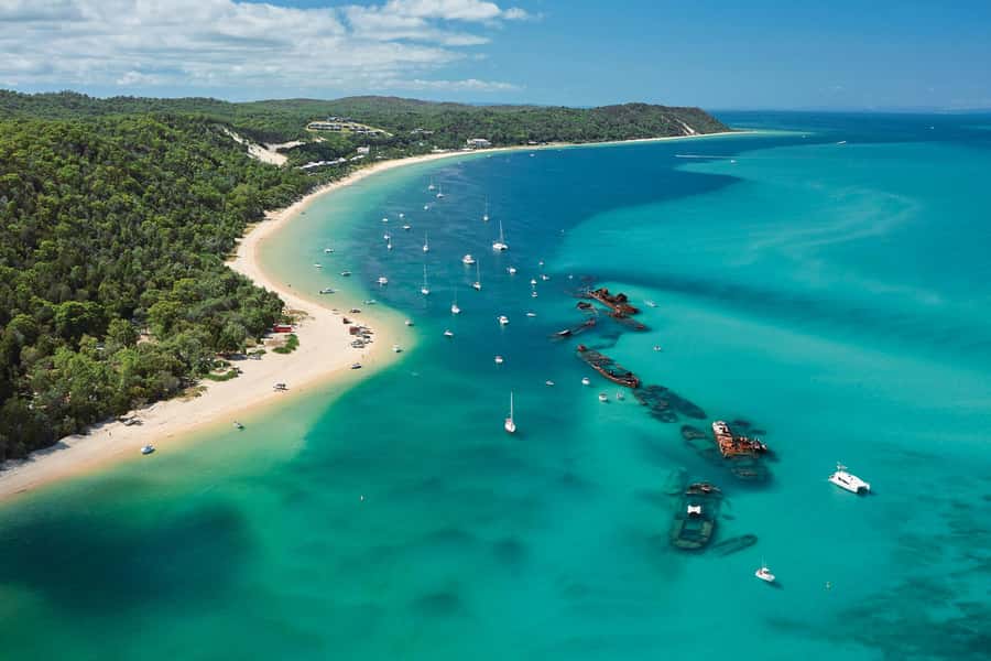 Moreton Island: Marine Discovery Cruise & Dolphin Feeding - Marine Discovery Cruise on Moreton Bay: spotting turtles, dugongs, and friends