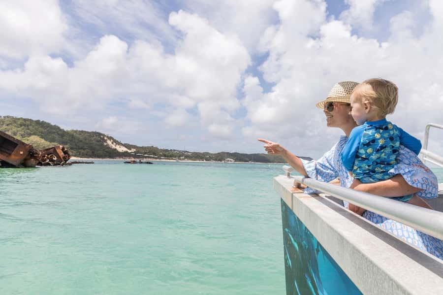 Moreton Island: Marine Discovery Cruise & Dolphin Viewing - From Brisbane to Moreton Island: the ferry part that sets the tone
