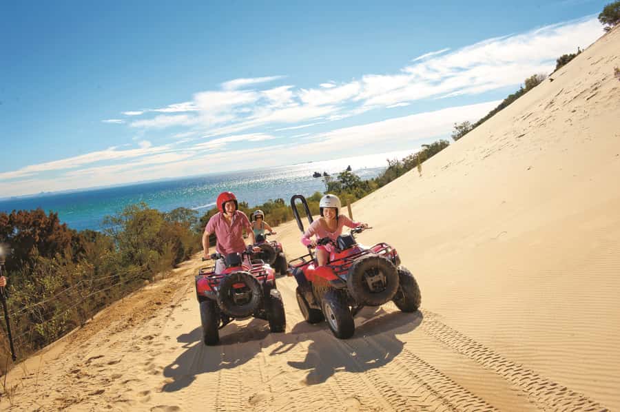 Moreton Island: Tangalooma ATV Quad Bike and Dolphin Viewing - Key points to know before you go