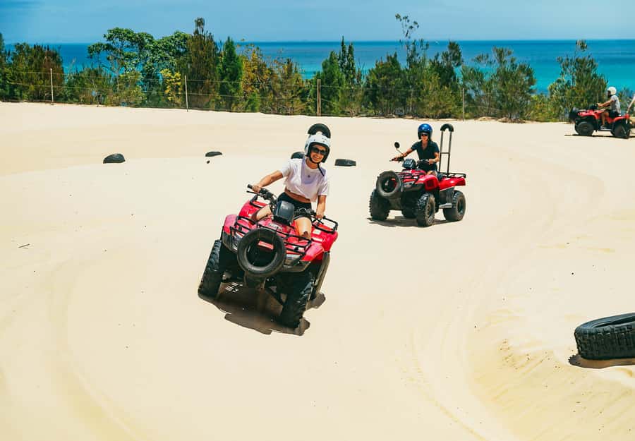 Moreton Island: Tangalooma ATV Quad Bike & Dolphin Feeding - Dolphin feeding reality check: what to expect if conditions aren’t perfect