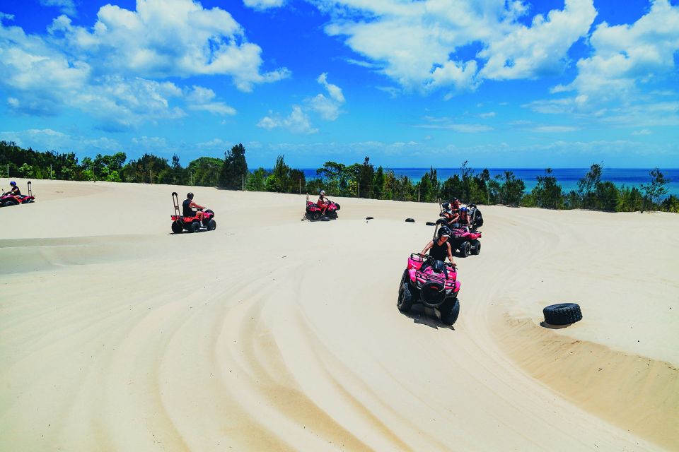 Moreton Island: Tangalooma ATV Quad Bike & Dolphin Feeding - Who this is best for (and who might want a different plan)