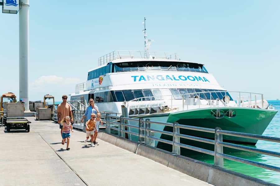Moreton Island: Tangalooma Day Trip Marine Discovery Cruise - Key things to know before you go
