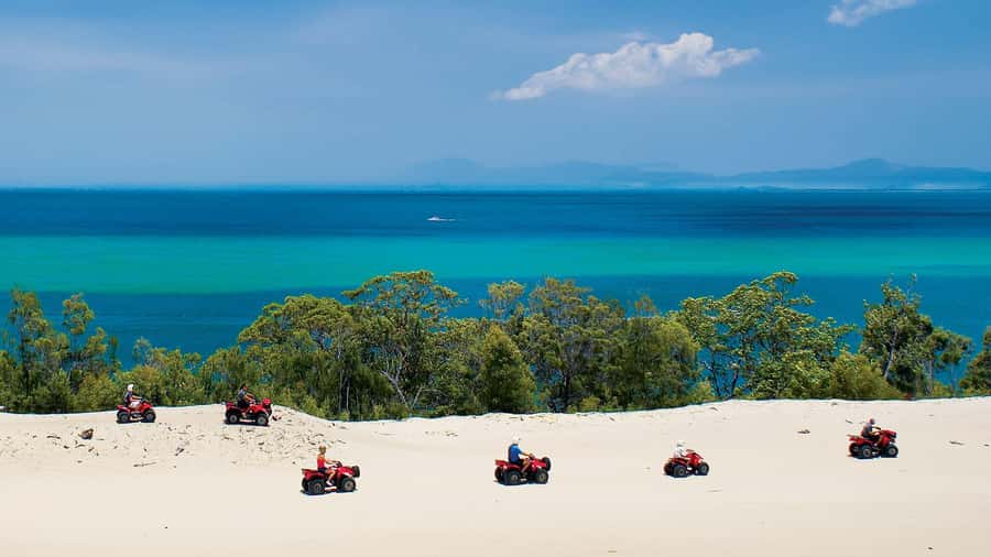 Moreton Island: Tangalooma Day Trip with ATV Quad Bike Tour - ATV quad bikes: the fun part, plus how it’s paced