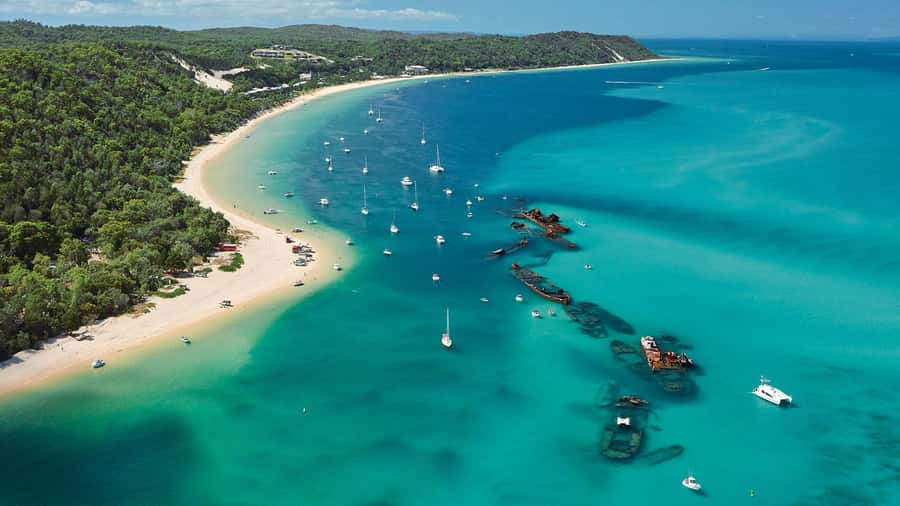Moreton Island: Tangalooma Day Trip with ATV Quad Bike Tour - Eco Centre and the 3:15pm dolphin presentation: a meaningful finish