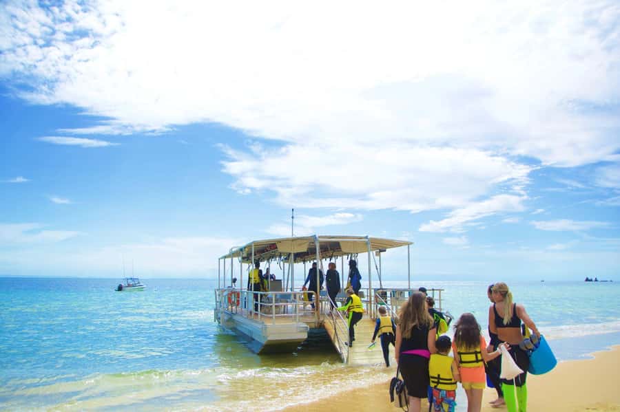 Moreton Island: Tangalooma Day Trip with Snorkeling Tour - Lunch Voucher and Island Food Timing: How Not to Miss It