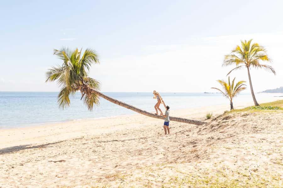 Moreton Island: Tangalooma Day Trip with Snorkeling Tour - Discover the World of Dolphins at 3:15pm