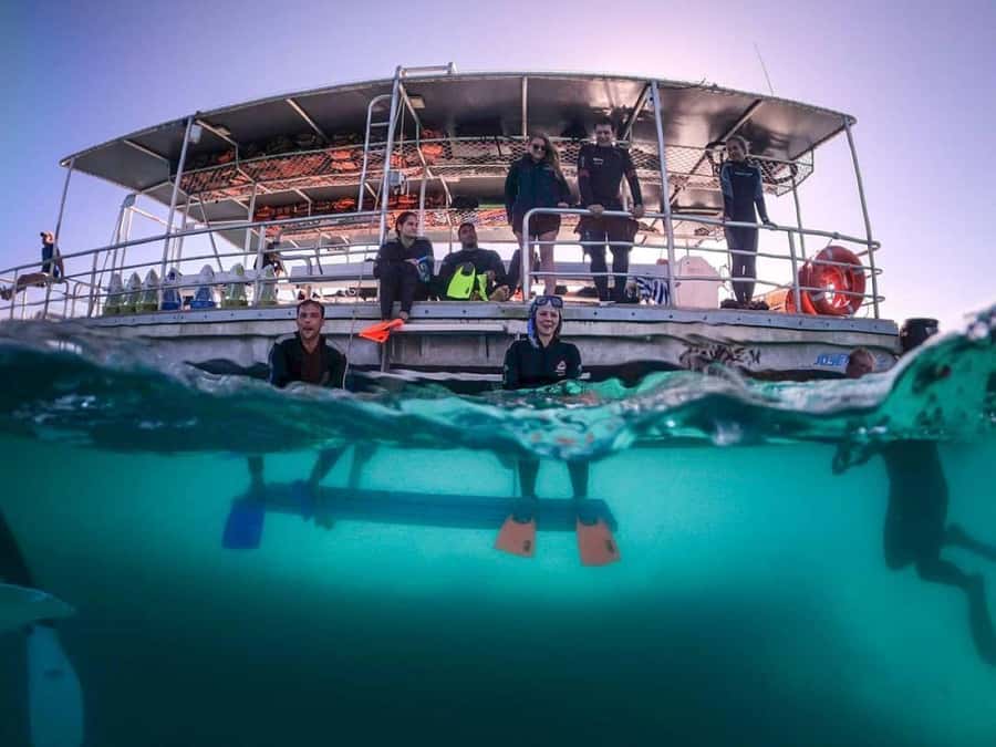 Moreton Island: Tangalooma Day Trip with Snorkeling Tour - Exclusive Resort Day-Pass: The Comfort You Actually Use