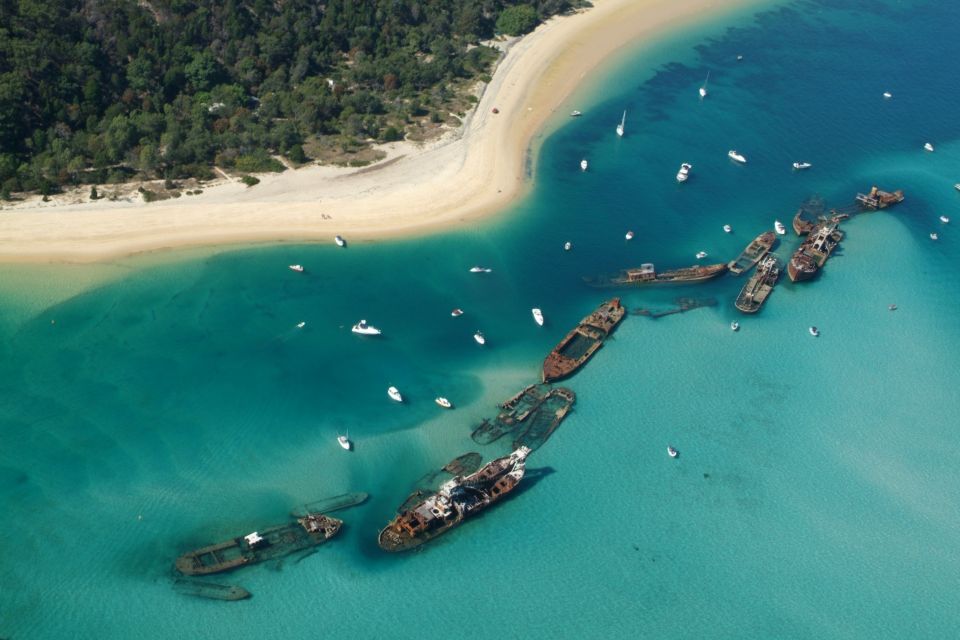 Moreton Island: Tangalooma Snorkel Tour with Helicopter Tour - Wild Dolphin Experience at dusk: tides, weather, and wonder
