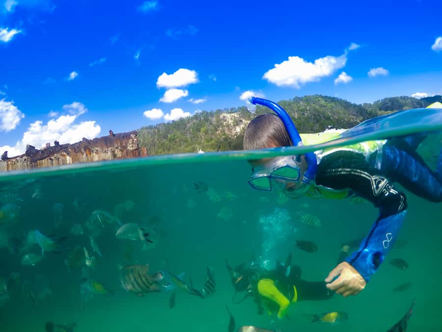 Moreton Island: Tangalooma Snorkeling Tour & Dolphin Feeding - How the schedule plays out (and where it can feel rushed)