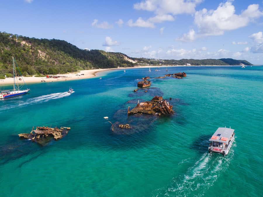 Moreton Island: Tangalooma Snorkeling Tour & Dolphin Feeding - Price and value: what $172 buys you, and where you’ll still spend money