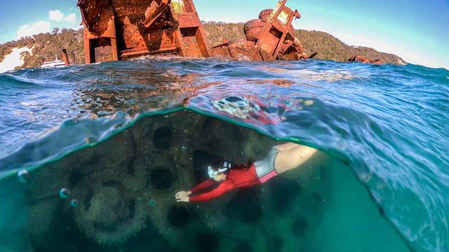 Moreton Island: Tangalooma Snorkeling Tour & Dolphin Feeding - The Tangalooma Wrecks snorkel: why 90 minutes feels like the right fit