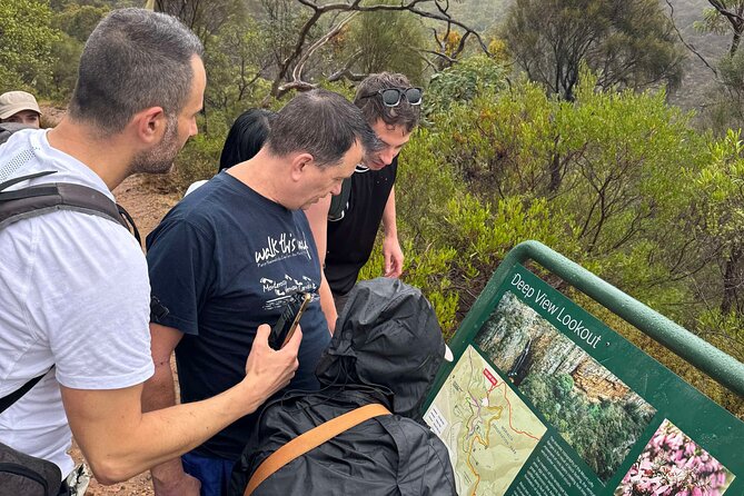Morialta Falls Hike: Trails and Tales with a Foreign Flair - Walking Morialta Conservation Park: trails, falls, and gorge views
