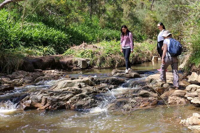 Morialta Wilderness and Wildlife Hike - What to bring: shoes, water, and comfort details that matter