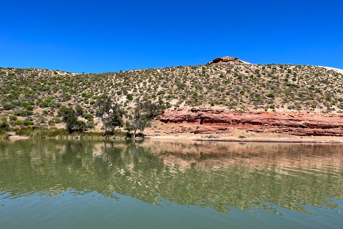 Morning Cruise on the Murchison River in Kalbarri (April to Nov) - The Wildlife and Fishing Stories You’ll Actually Notice