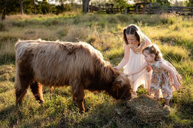 Morning Farm Experience near Gympie & Noosa - Key things I’d put on your must-do list