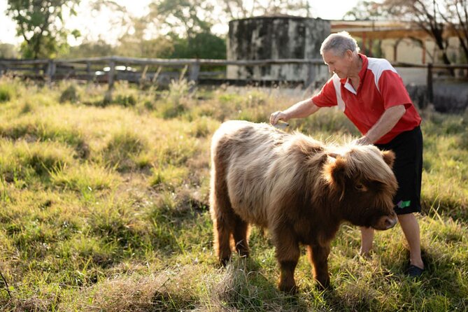 Morning Farm Experience near Gympie & Noosa - Farm games and facts: why families actually stay happy for 2 hours