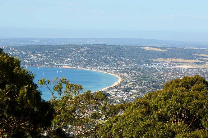 Mornington Peninsula Boutique Wine and Lunch Small Group Tour - Pt Leo Estate Sculpture Park: Coastal Views and a Proper Unwind