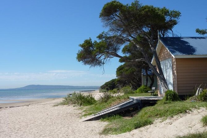 Mornington Peninsula Coastal Discovery Tour from Melbourne - Key highlights you should know before you go