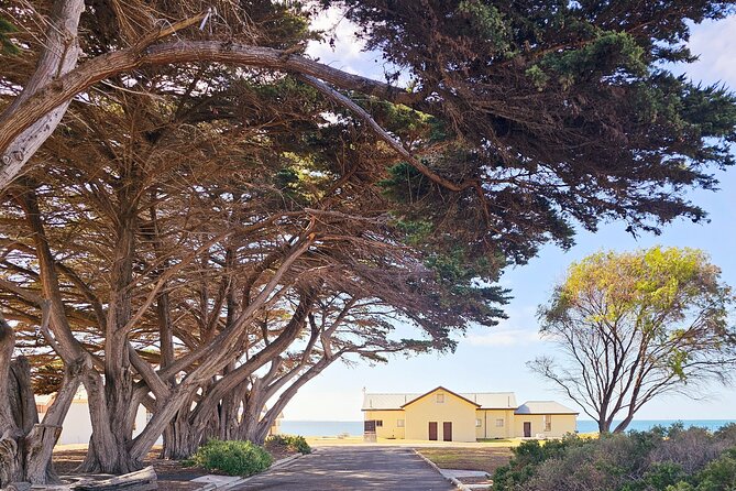 Mornington Peninsula Coastal Discovery Tour from Melbourne - Sorrento: use the 30 minutes for seaside reset