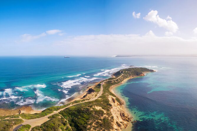 Mornington Peninsula Coastal Discovery Tour from Melbourne - Arthurs Seat: an easy climb with Port Phillip views that land
