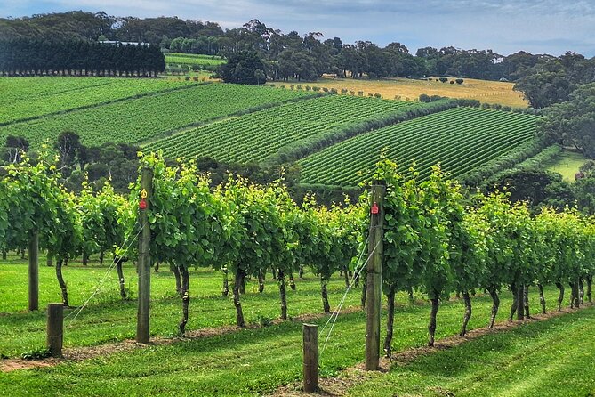 Mornington Peninsula Day Tour. Your Day Your Way. Your group only - Key reasons this Mornington Peninsula tour is worth your time