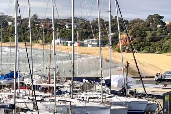 Mornington Peninsula Day Tour. Your Day Your Way. Your group only - Mount Martha Beach and bathing boxes: the photo stop that keeps delivering