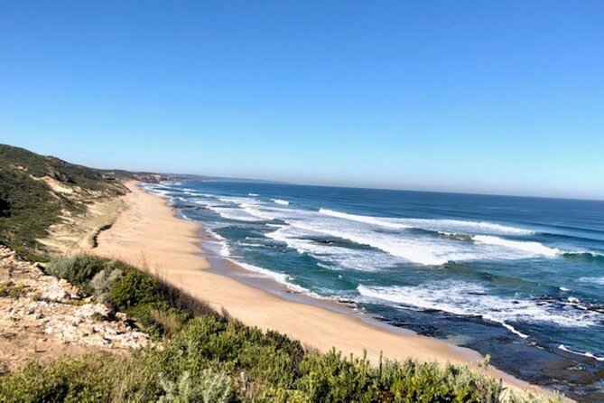Mornington Peninsula Day Tour. Your Day Your Way. Your group only - Pt. Leo Estate winery time: optional, and best used for your style