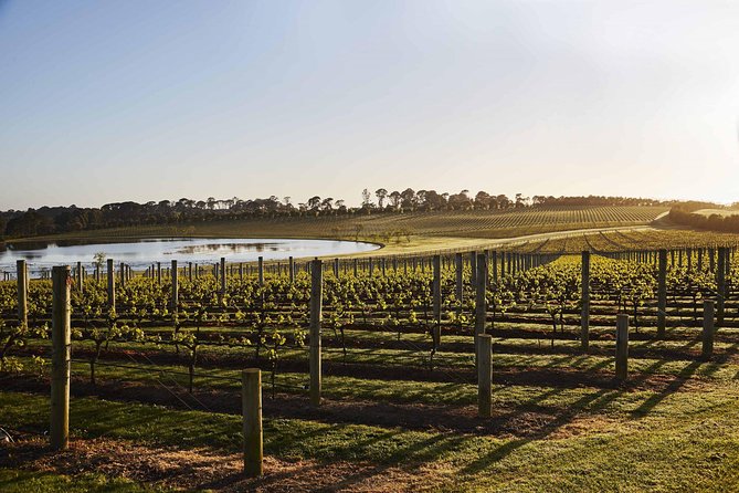Mornington Peninsula Food and Wine Taste Trail - Stop 1: Pt. Leo Estate for Ocean Views and Sculpture Gardens