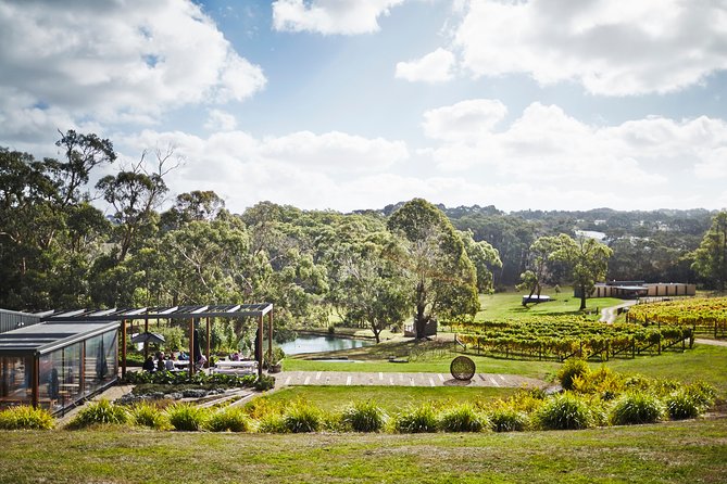 Mornington Peninsula Luxury Lunch, Wine Tasting & Pt Leo Art Walk - How the small group format changes the day